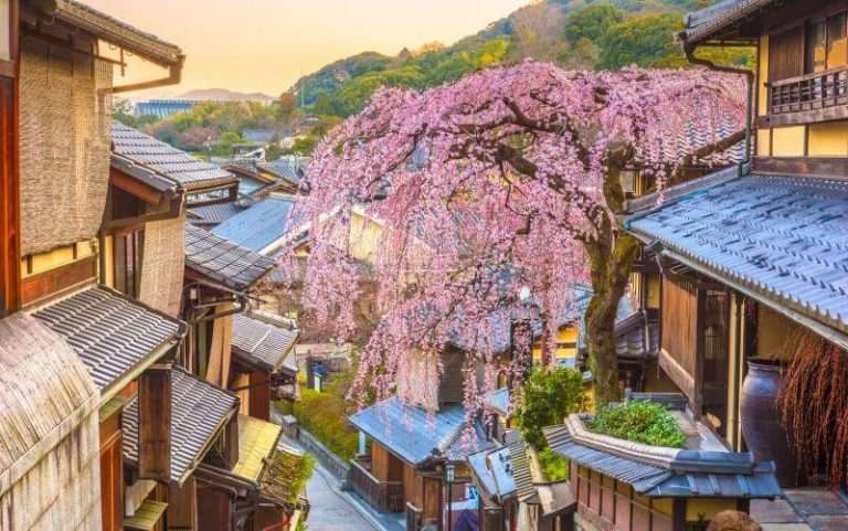 Paket Wisata Jepang Februari Tour Jepang Murah 2021 2022